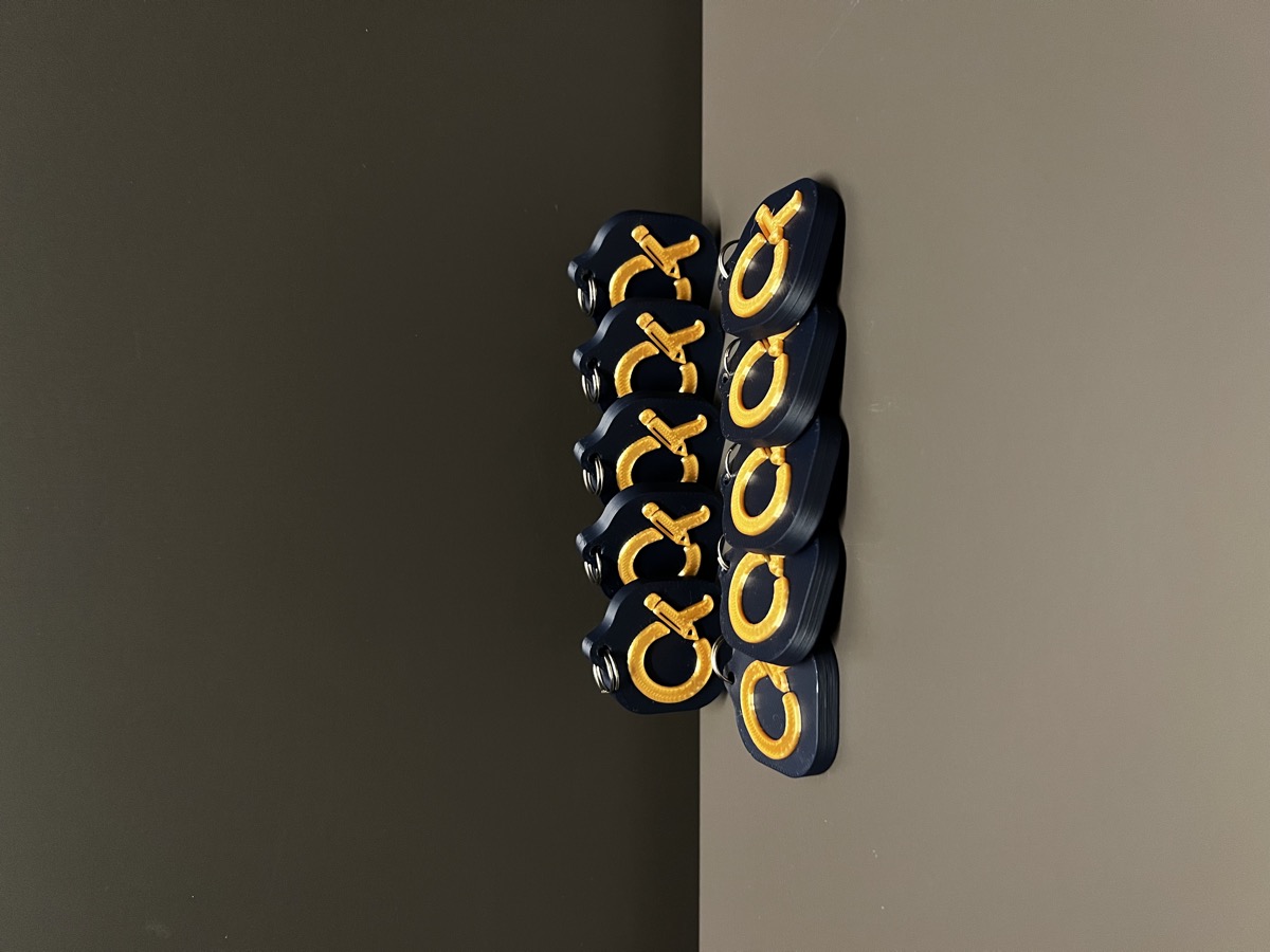 Bulk order of custom NFC keychains